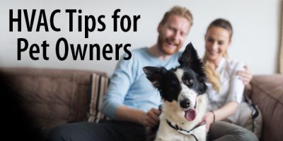HVAC Tips for Pet Owners East Texas Refrigeration Longview TX