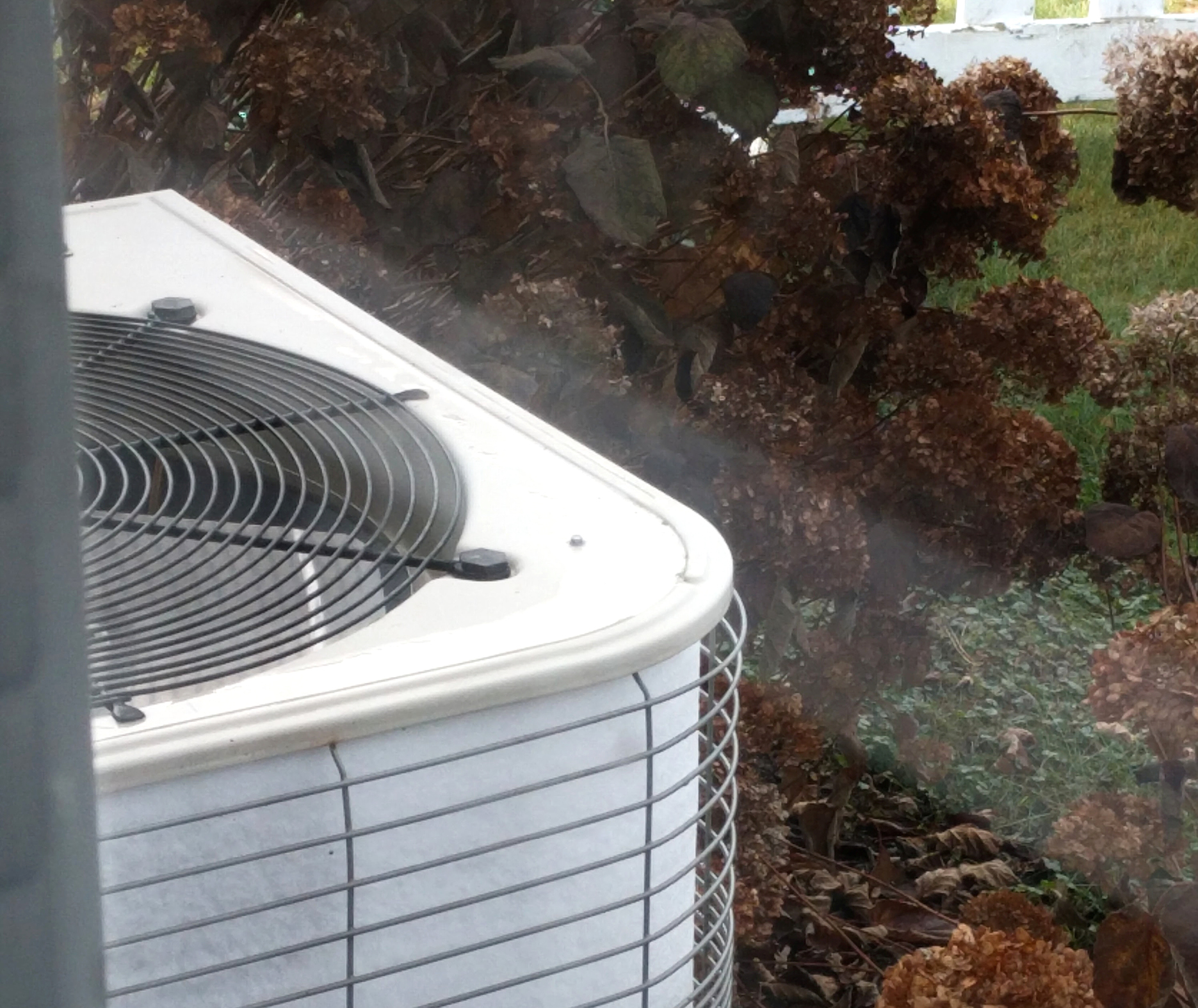 Steam rising from an outdoor heat pump unit next to dried hydrangea bushes